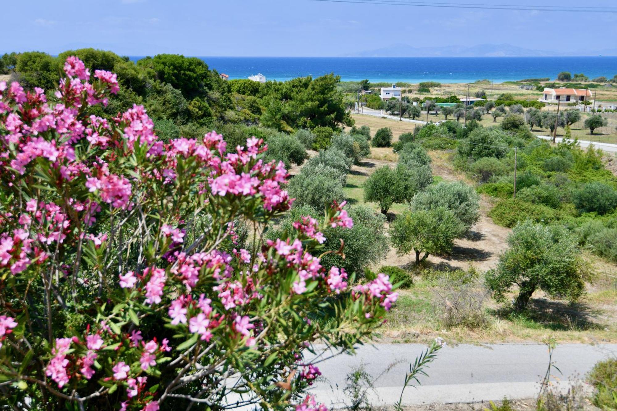 Summer View Θεολόγος Εξωτερικό φωτογραφία