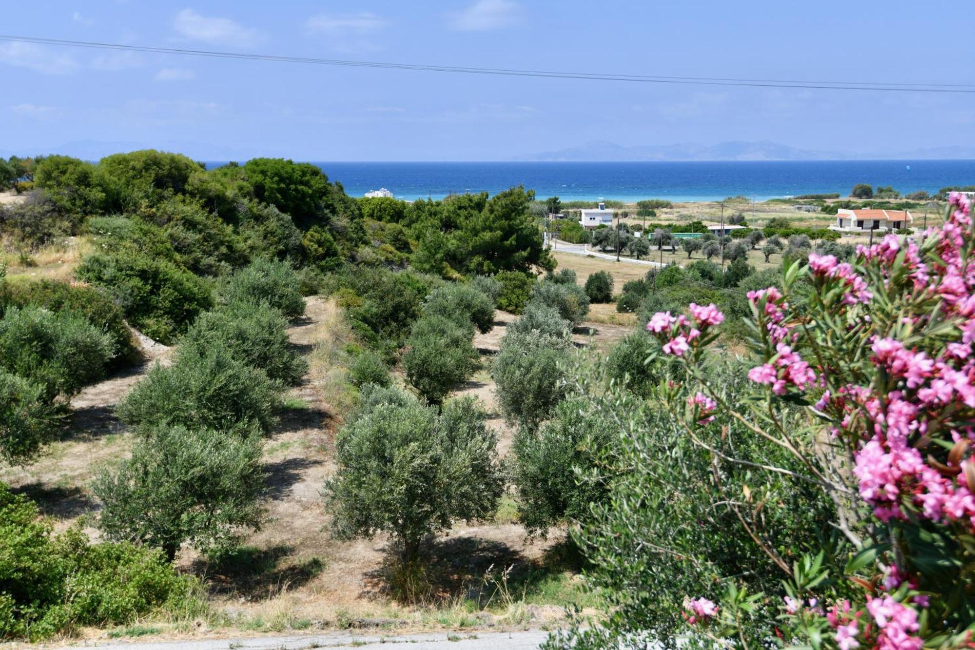 Summer View Θεολόγος Εξωτερικό φωτογραφία