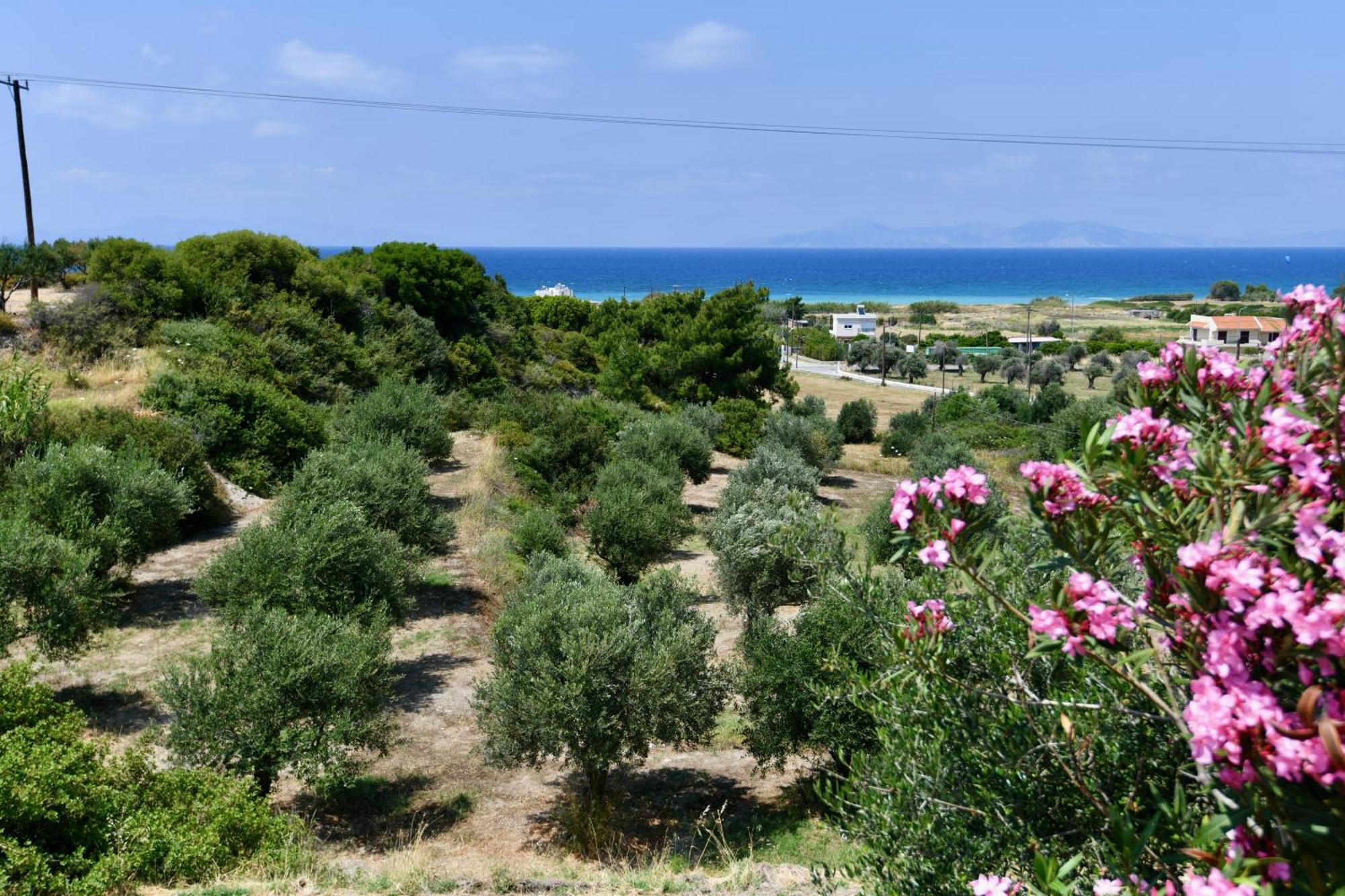 Summer View Θεολόγος Εξωτερικό φωτογραφία